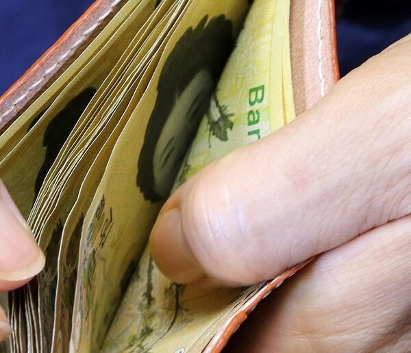 Petco Health & Wellness stock faces renewed pressure amid pet retail slowdown and high debt load