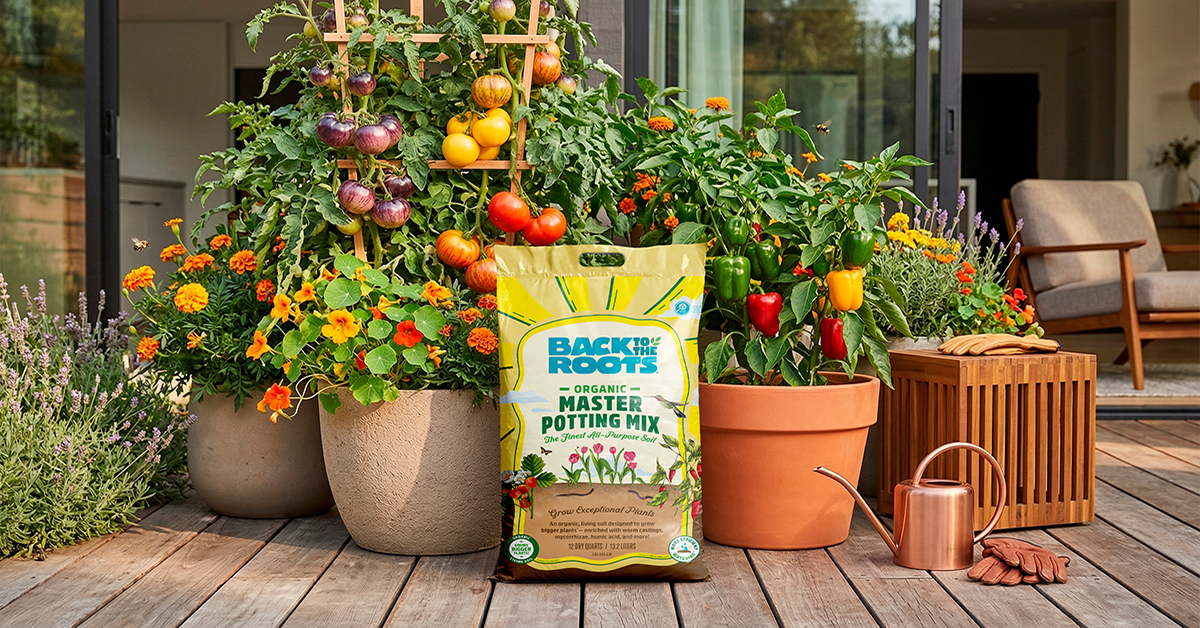 Back to the Roots Organic Master Potting Mix