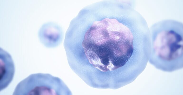 New Immune Response May Boost Cancer Defense