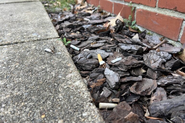 Tobacco companies claim immunity in pollution lawsuit by Baltimore