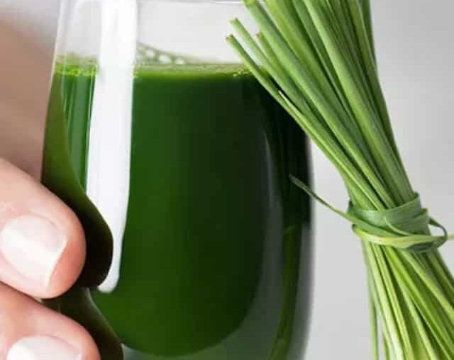 Why Wheatgrass Juice Is Trending As A Natural Detox And Immunity Booster