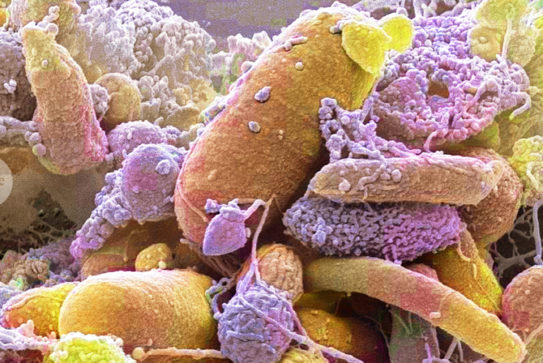 five highlights from nutrition research