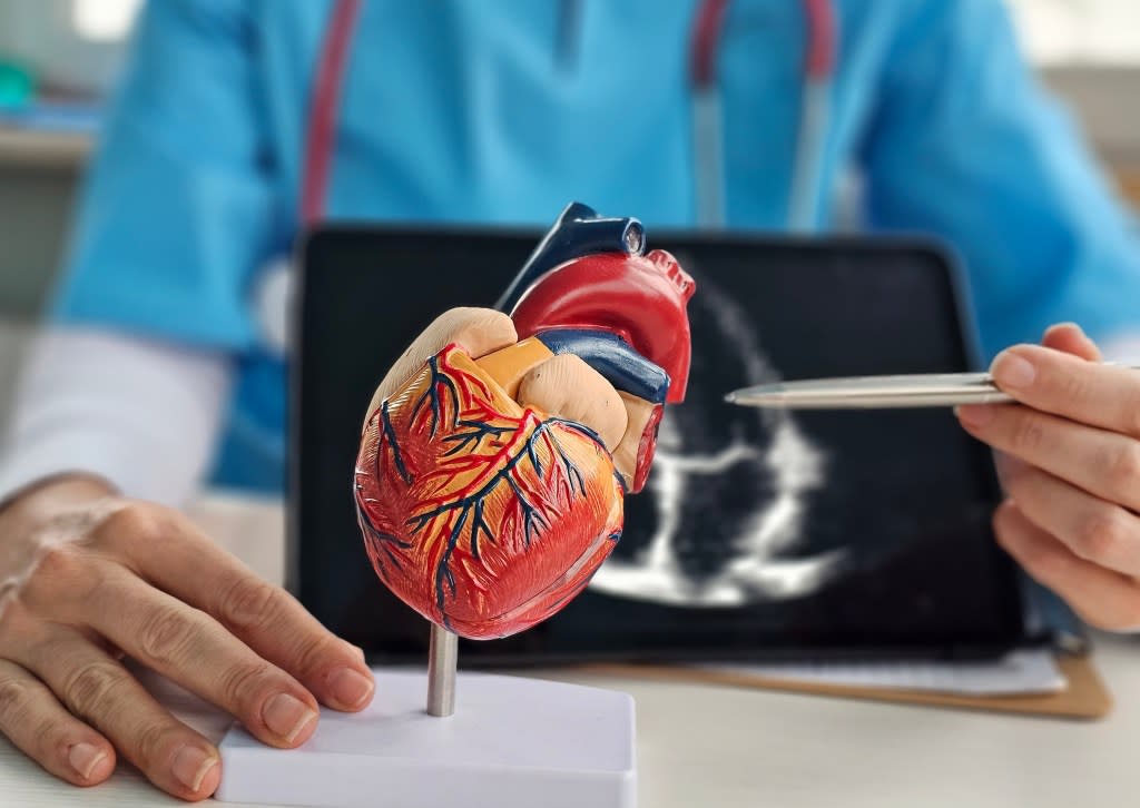 CoQ10 is often recommended to improve symptoms in heart failure patients and support recovery post-heart attack. Nadzeya – stock.adobe.com