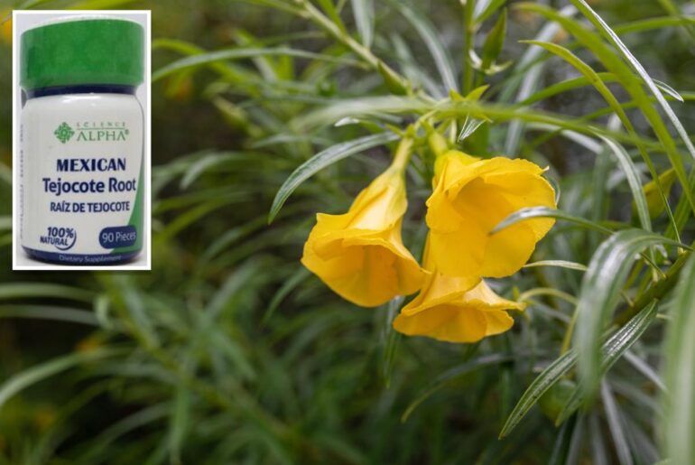 FDA warns about weight loss supplements containing toxin