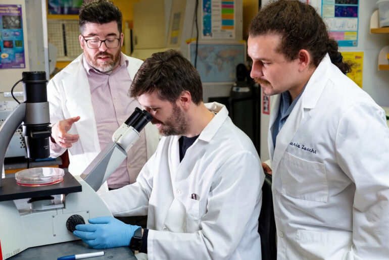 What do cancer cells eat? New research reveals surprising fuel source