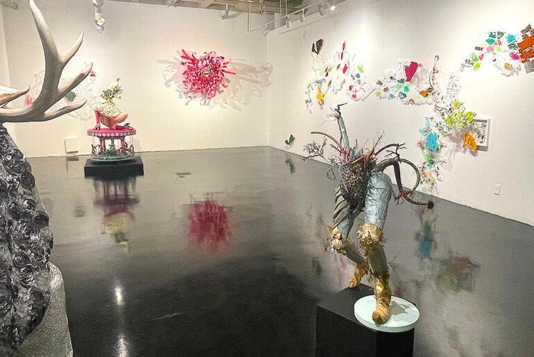 cactusBARN: “Thorns & Living Systems” and “Beauty & The Beast”