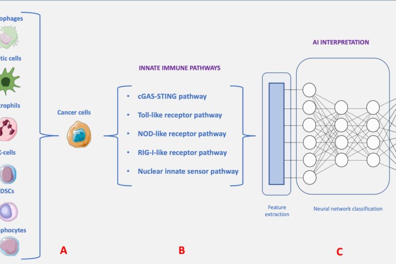 Editorial: Innate immune pathways as targets for developing therapeutic intervention against human cancers