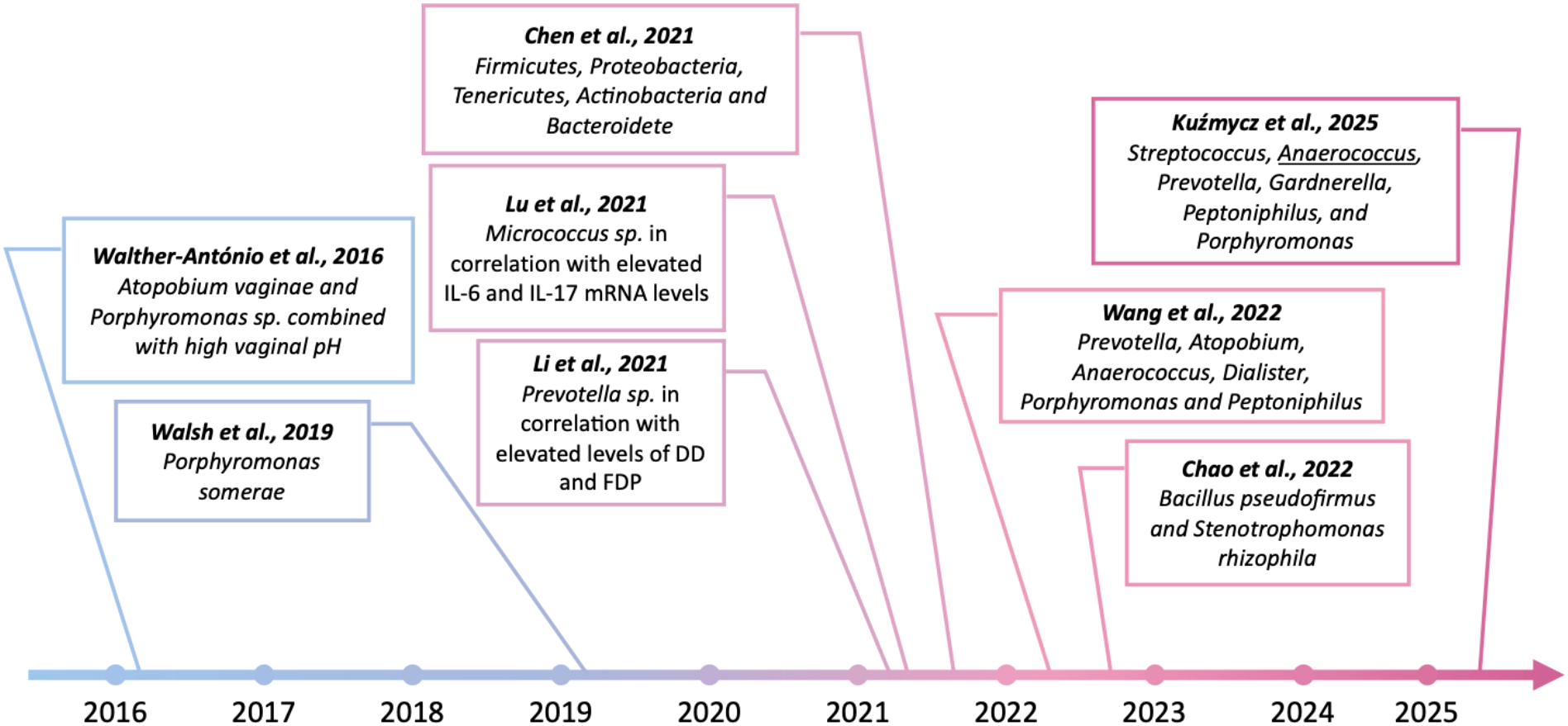 Timeline graphic displaying research findings from 2016 to 2025. It includes key studies: Walther-António et al., 2016, on Atopobium vaginae and Porphyromonas with high pH; Walsh et al., 2019, on Porphyromonas somerae; and Chen et al., 2021, on various bacteria. Other studies include Lu et al., Li et al., Wang et al., Chao et al., and Kuzmycz et al., highlighting correlations with specific bacterial species and health conditions up to 2025.