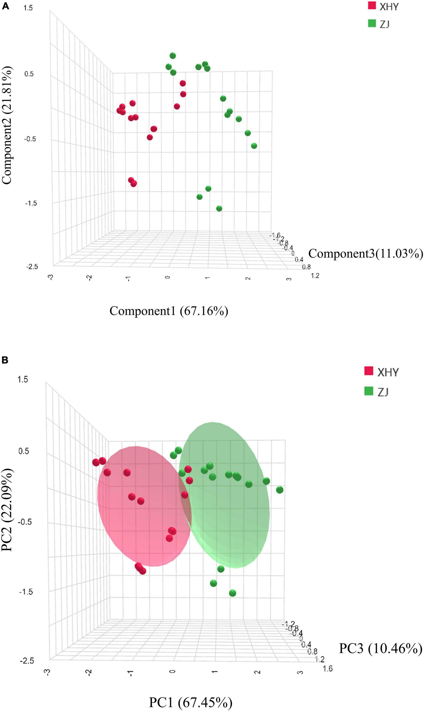Panel A shows a 3D scatter plot comparing two groups, XHY in red and ZJ in green, based on three principal components labeled as Component1, Component2, and Component3. Panel B presents a similar 3D scatter plot with overlapping ellipses highlighting group distributions, where XHY and ZJ show partial separation along PC1, PC2, and PC3 axes.
