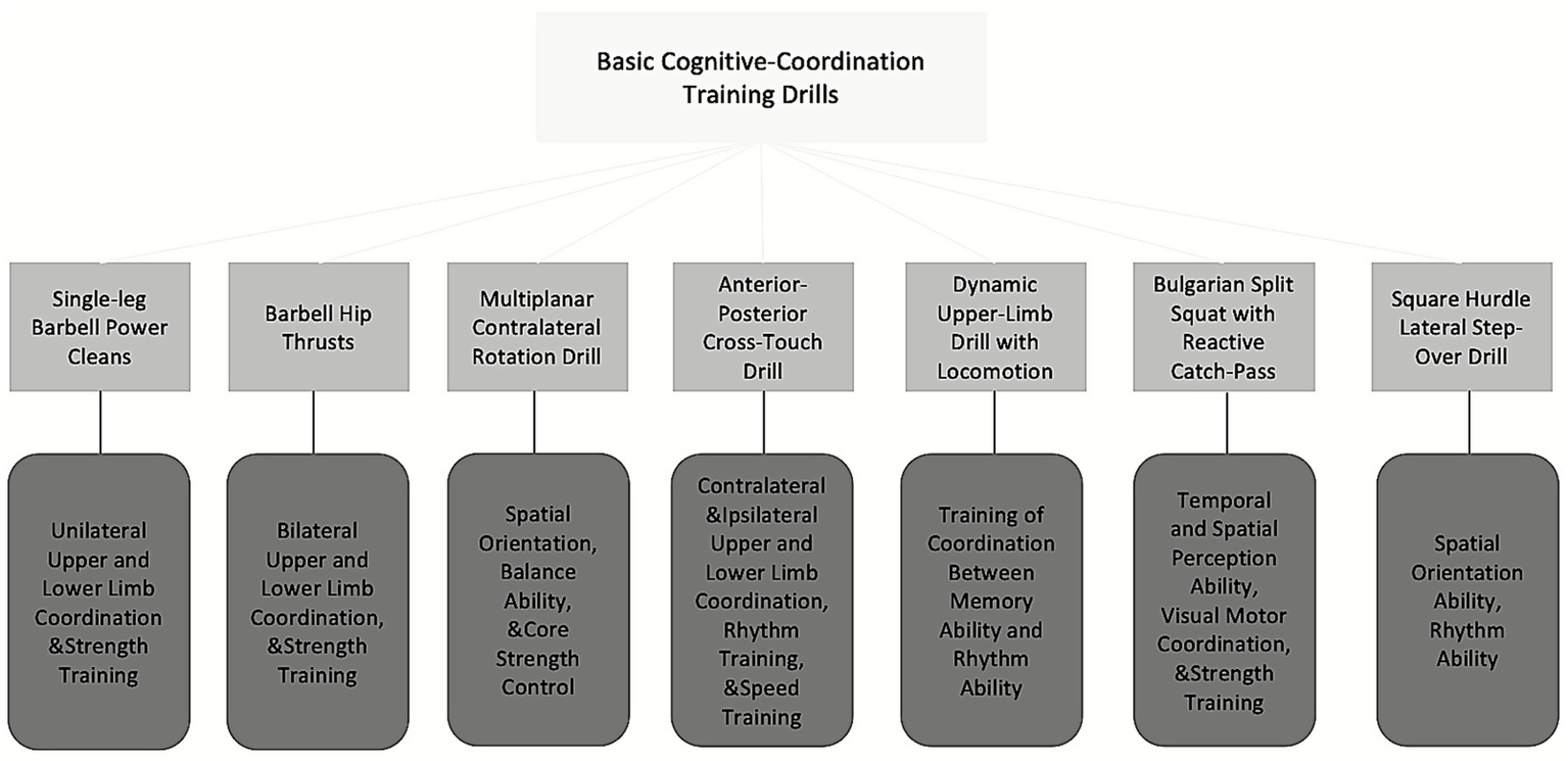 Flowchart titled "Basic Cognitive-Coordination Training Drills" showing eight exercises linked to specific training outcomes. Exercises include Single-leg Barbell Power Cleans and Barbell Hip Thrusts. Outcomes focus on aspects like coordination, spatial orientation, rhythm, and strength training for both upper and lower limbs.