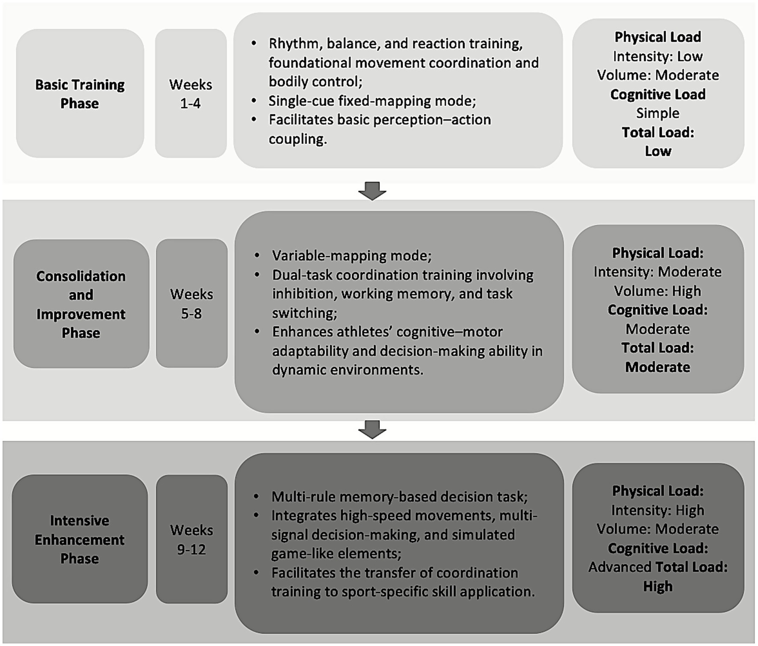 Flowchart detailing a three-phase training program. The Basic Training Phase (weeks 1-4) focuses on foundational coordination with low physical and cognitive load. The Consolidation and Improvement Phase (weeks 5-8) enhances adaptability with moderate loads. The Intensive Enhancement Phase (weeks 9-12) integrates decision-making skills with high physical and cognitive loads.