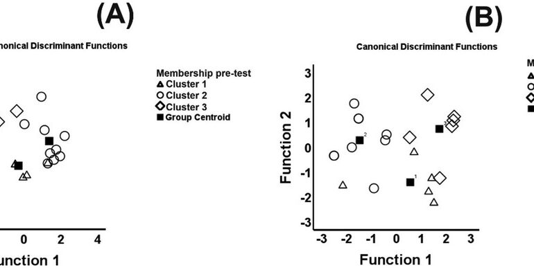 Impact of a six-week training program on physical fitness and performance of young tennis players: a cluster analysis approach