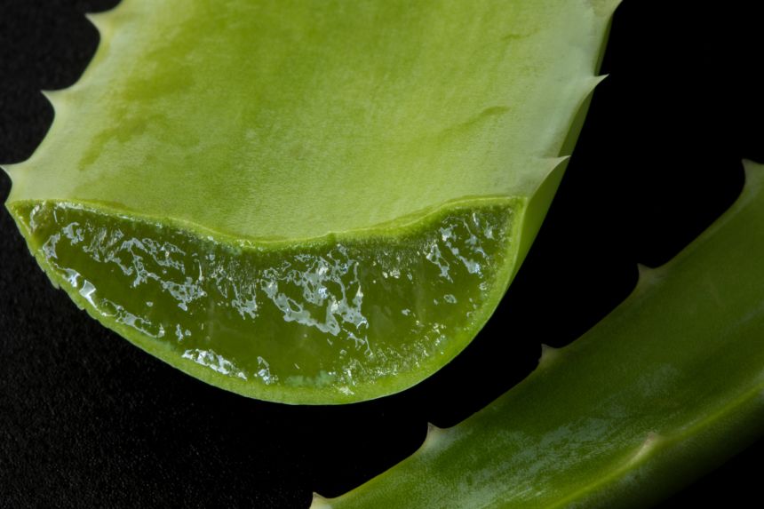 Aloe vera is often perceived as natural and safe, which may not be the case.