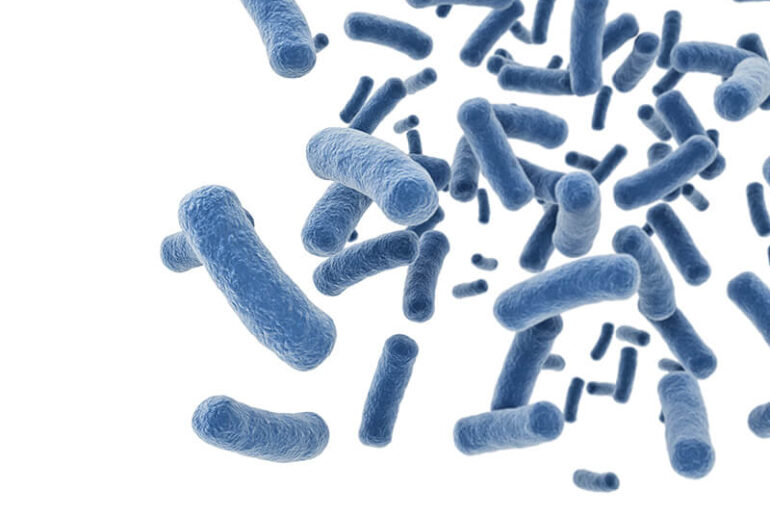 Global probiotics market set for sustained growth through 2030