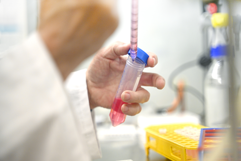 How cell studies boost the development of successful food supplements