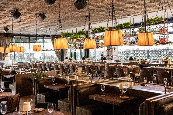 Restaurants, wellness, a playground: 4 businesses new to Plano in 2026