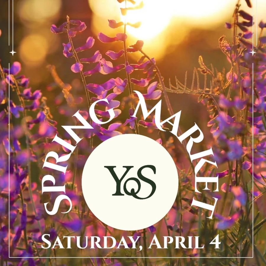 Yoga on State Spring Market: An Afternoon of Community and Wellness