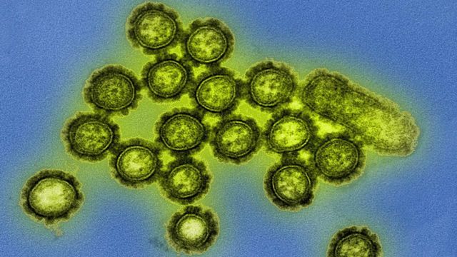 Dual-Target Flu Vaccine May Reduce Spread