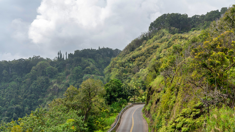 Maui's Road To Hana trailing into the forest