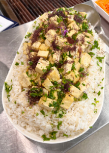 Tofu dish on rice
