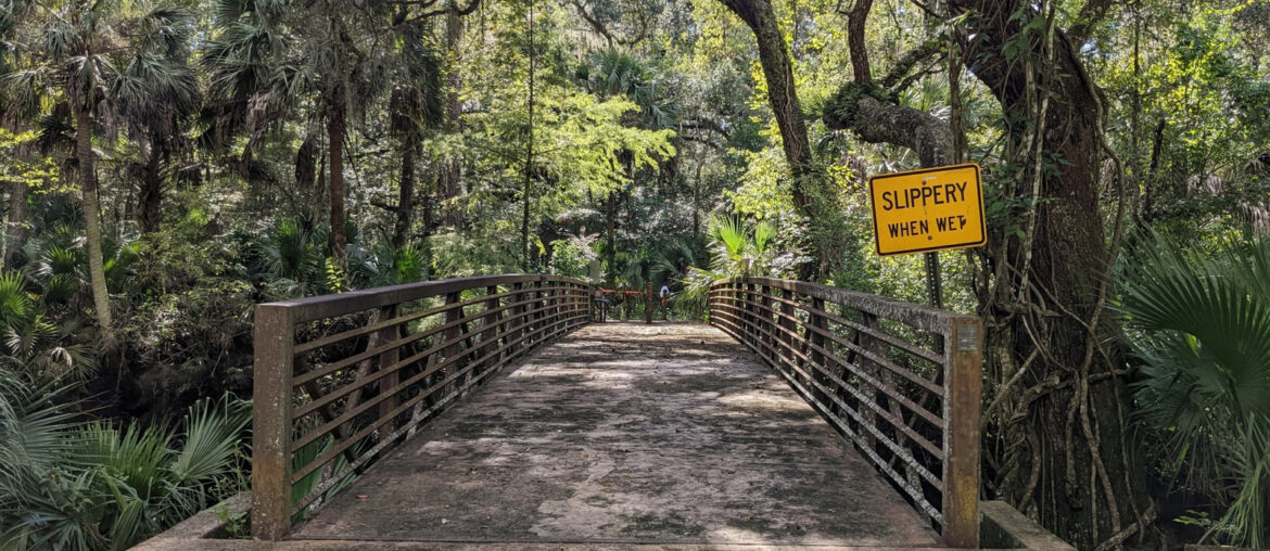 Florida's Once-Thriving Wellness Hotel Was Abandoned And Remains As A Hauntingly Scenic Park