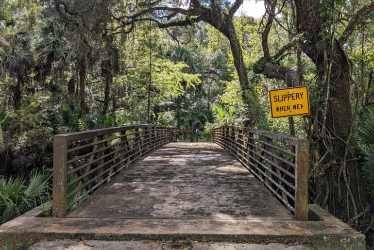 Florida's Once-Thriving Wellness Hotel Was Abandoned And Remains As A Hauntingly Scenic Park