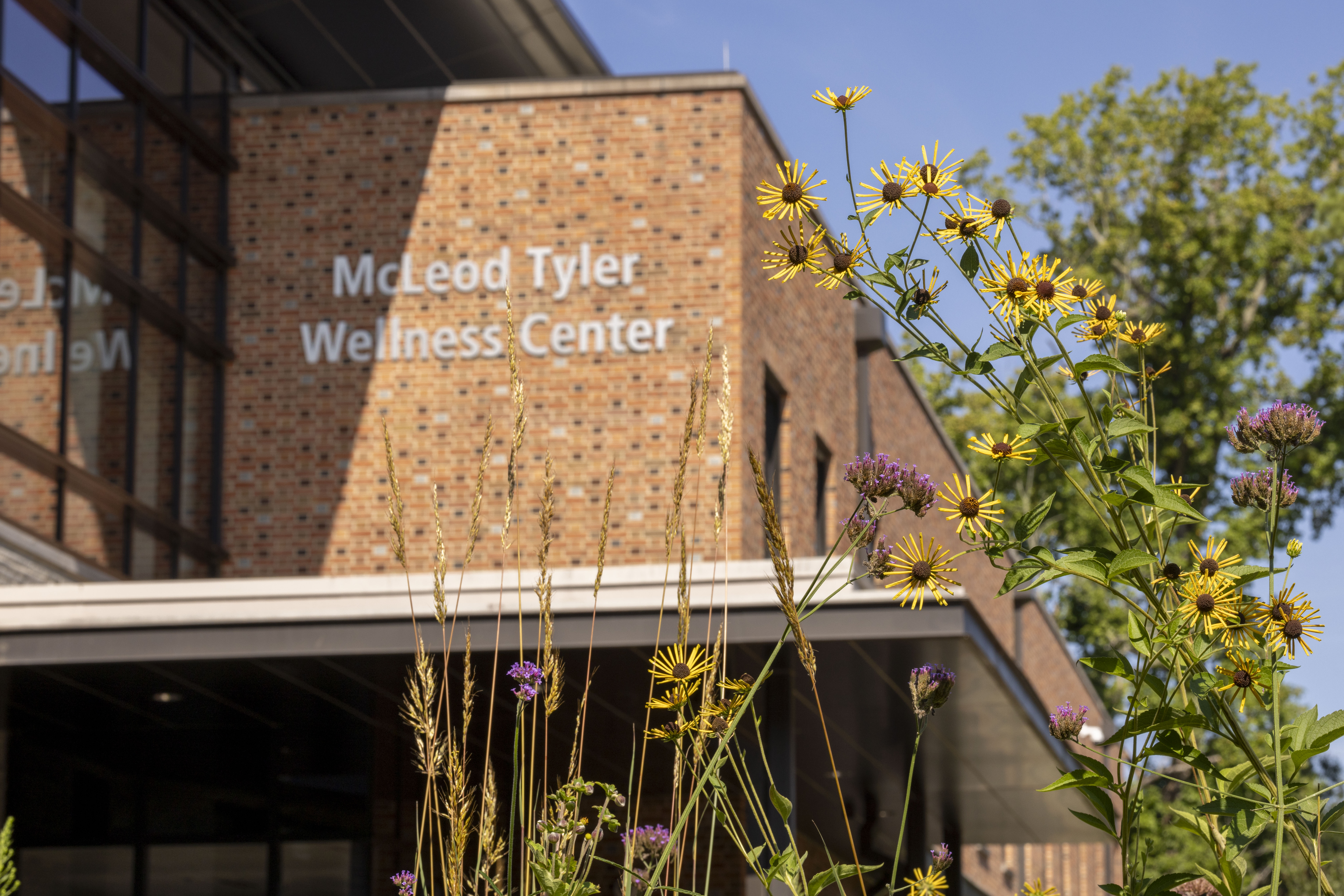 An image of the Mcleod Tyler Wellness Center.