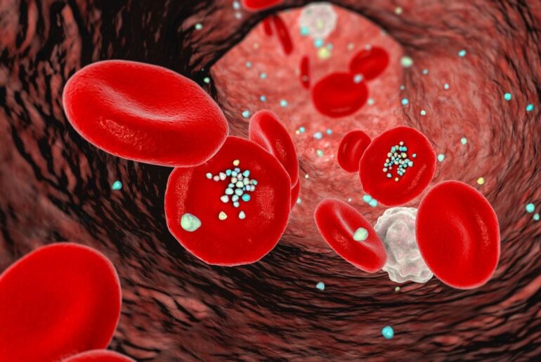 Microplastics may impair the immune system’s cellular clean-up