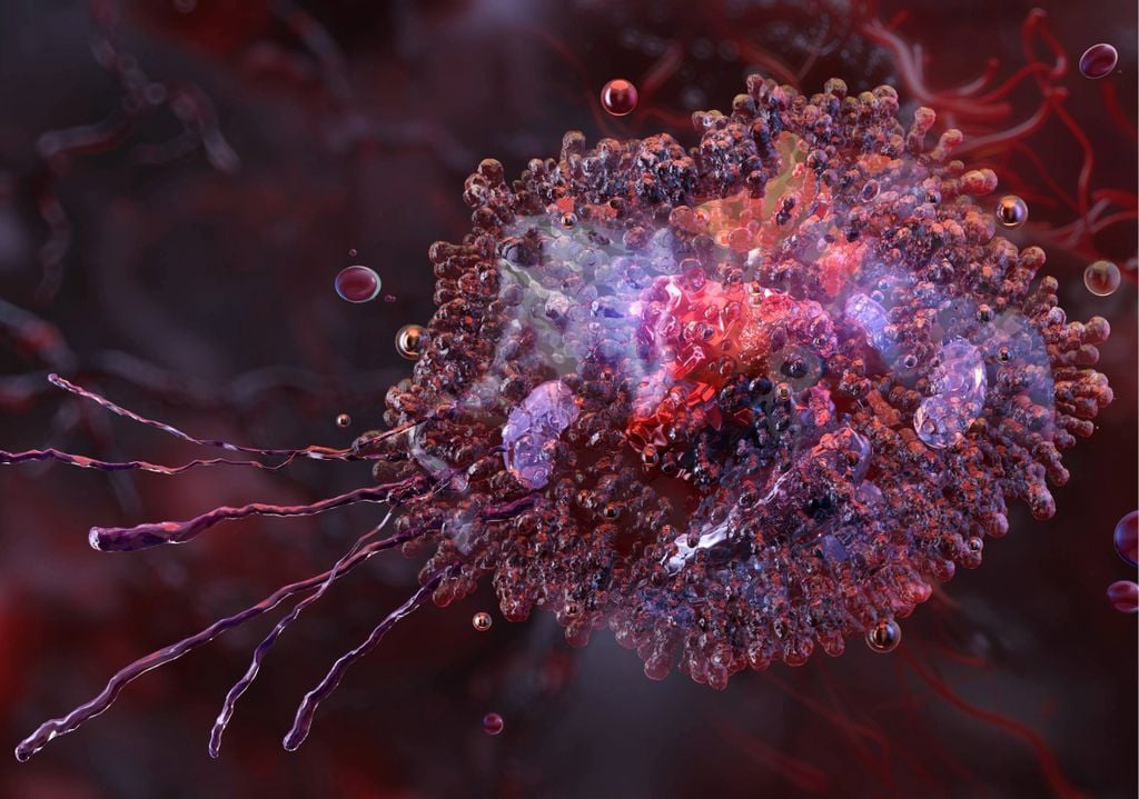 Macrophages engulf debris and dying cells to keep tissues healthy. Microplastics may interfere with this process.