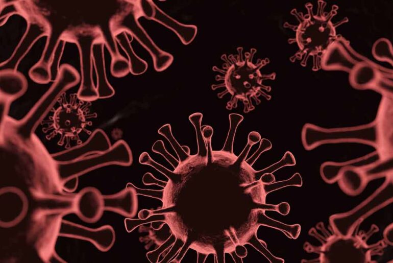 The World Health Organisation has classified it as BA.3.2, aka Cicada. Photo: iStock/HomePixel