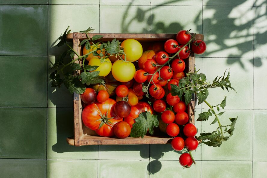 tomatoes seasonal spring produce olivie strauss unsplash