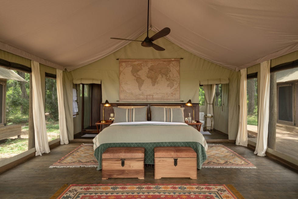 paradise plains kenya