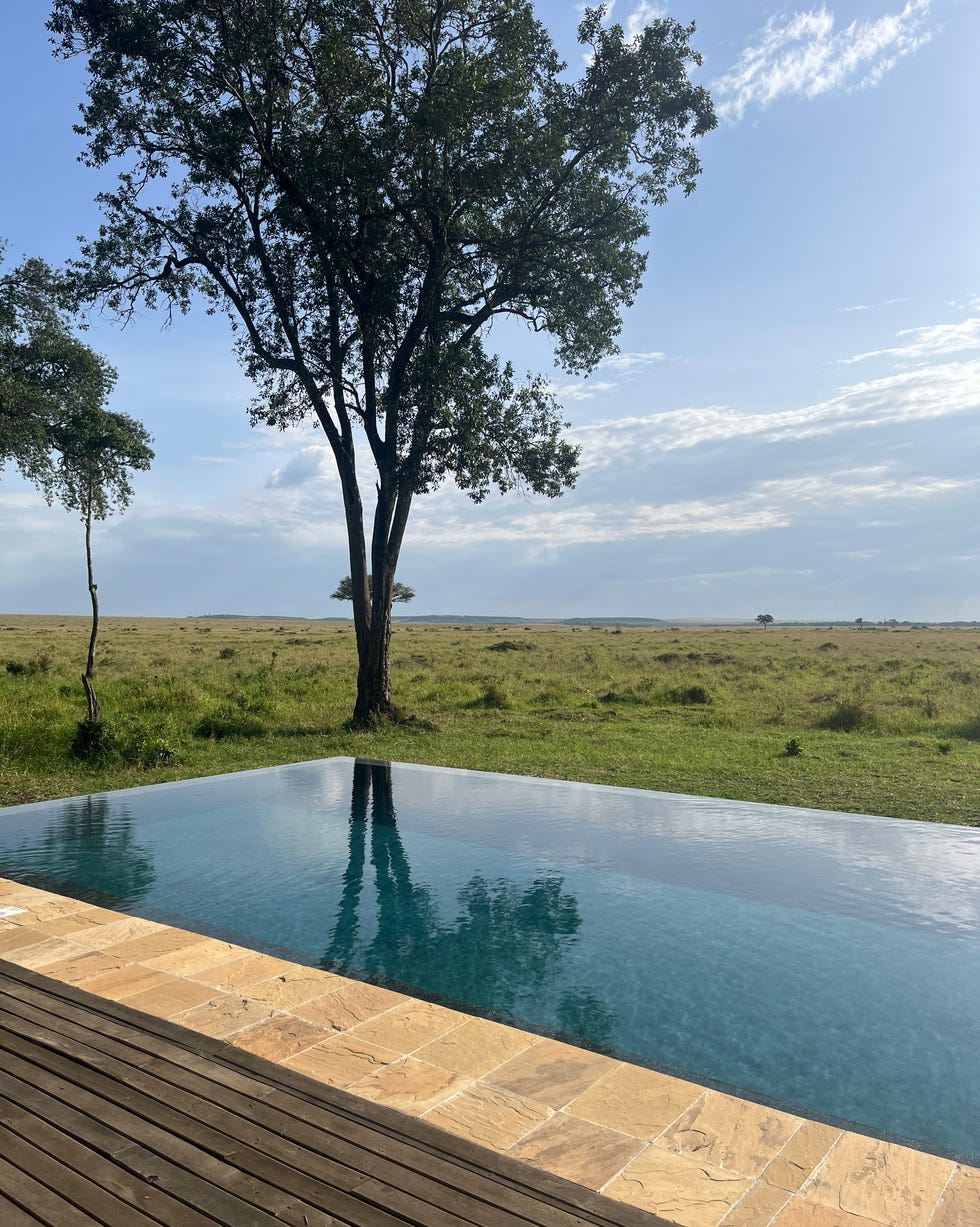 infinity pool overlooking a grassy landscape with trees paradise plains kenya