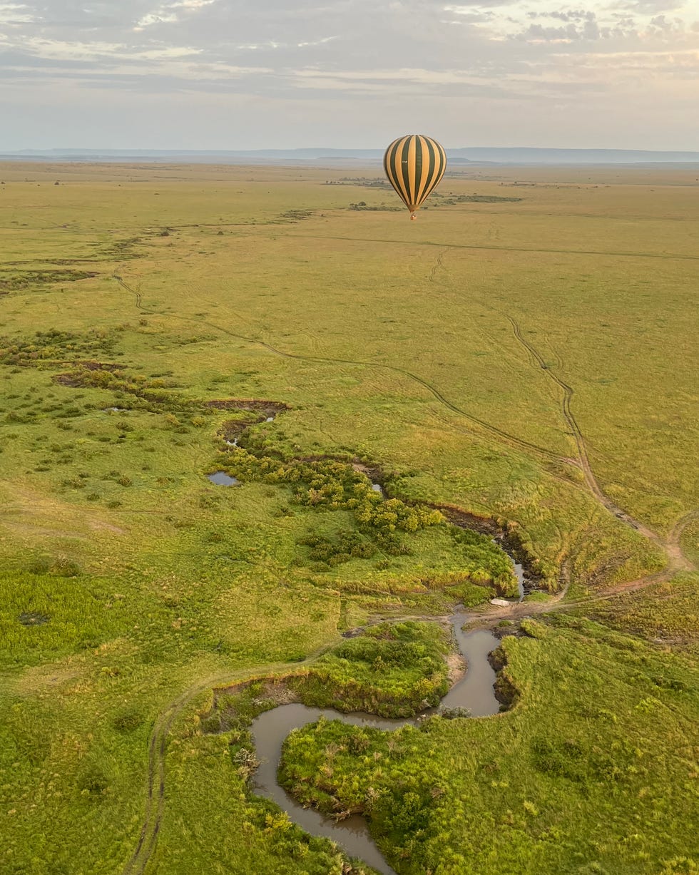 paradise plains kenya