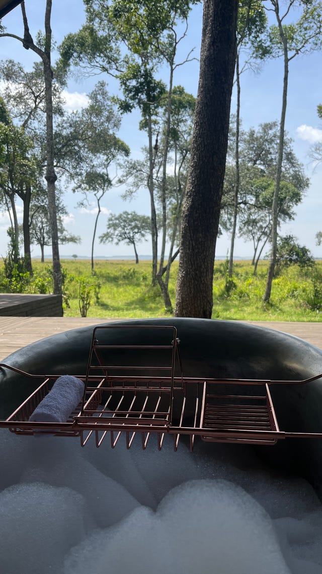 paradise plains kenya