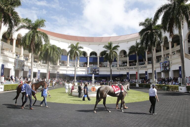 Florida HBPA to Contribute $2 million to Supplement Purses for Florida-breds