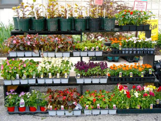 FLX MORNING PODCAST-Nutrition Talk with Cornell Cooperative Extension