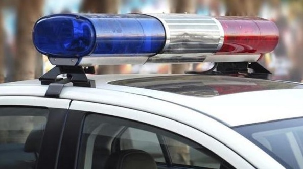 Glastonbury police charge man after video shows him assaulting dog