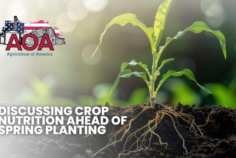 Discussing Crop Nutrition Ahead of Spring Planting