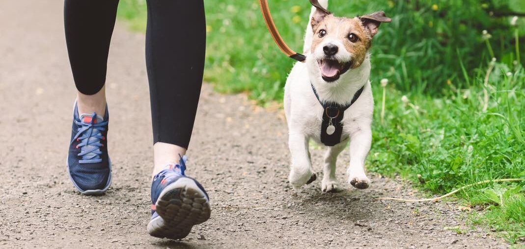 Dallas County Launches Physical Fitness Campaign