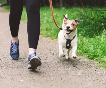 Dallas County Launches Physical Fitness Campaign