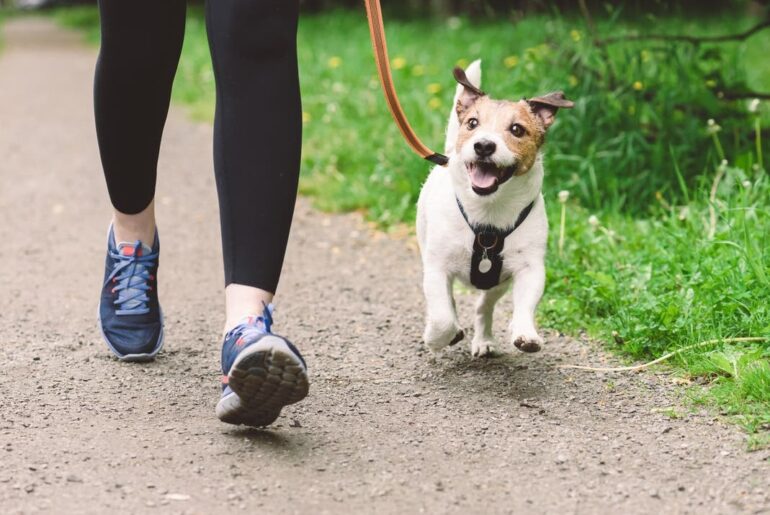 Dallas County Launches Physical Fitness Campaign