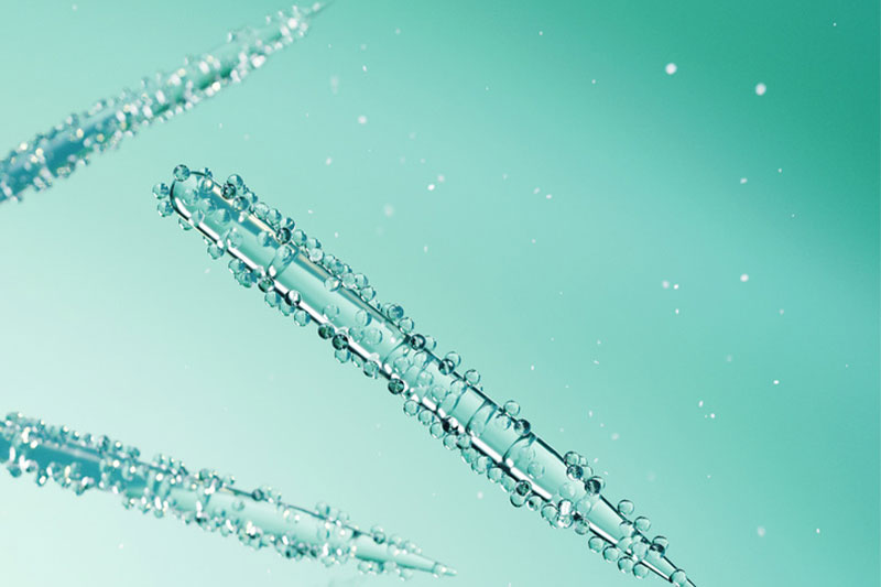 Spicules are very fine, needle-shaped particles derived from freshwater sponges that can support cellular renewal