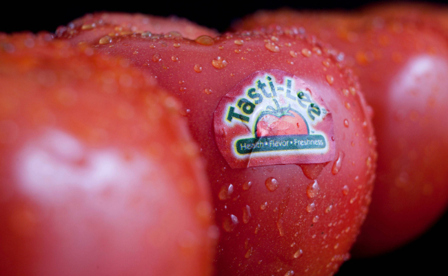Florida scientists engineer orange tomatoes packed with vitamin A