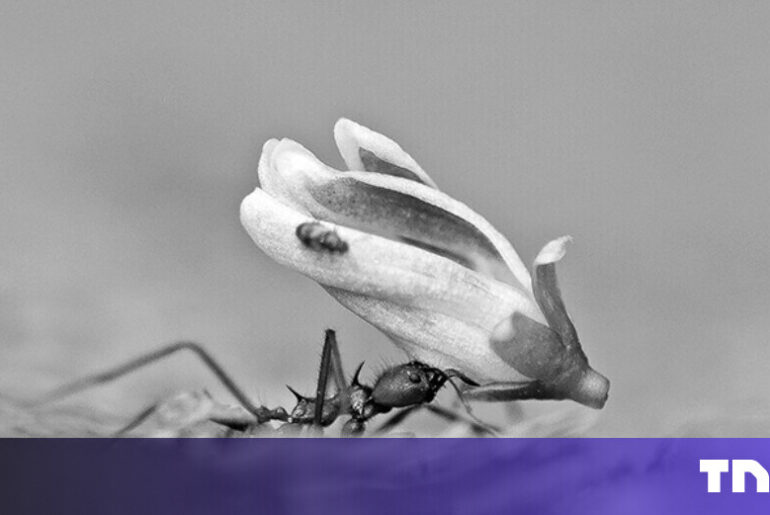 Kupando raises €10M more to take its immunity drug into the clinic