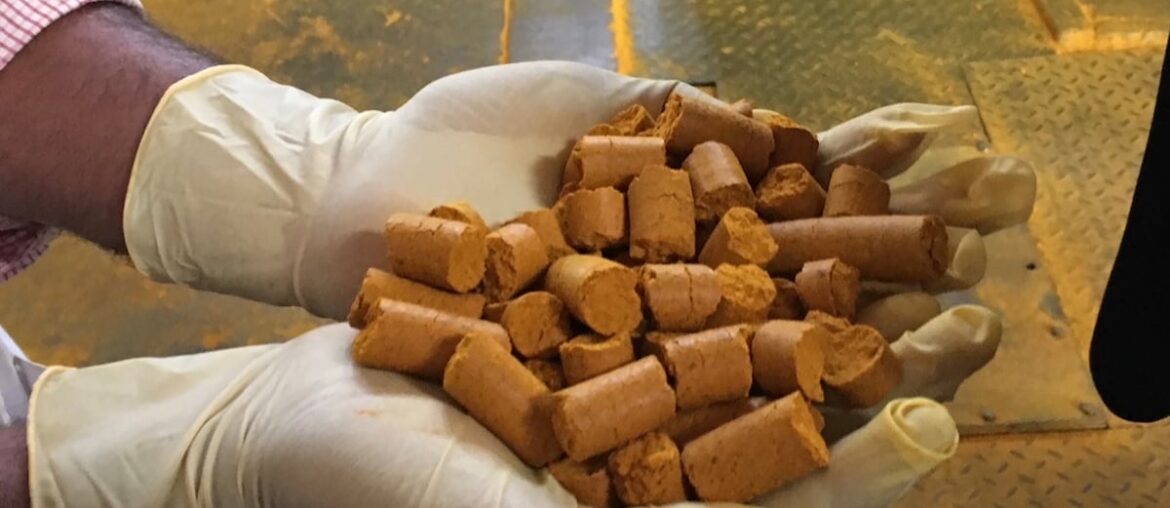 Despite warnings, turmeric is safe, experts say