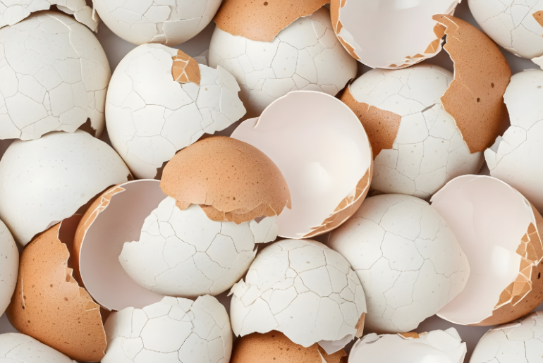Upcycled eggshell collagen OVOLUX delivers low-dose, clinically validated beauty from within