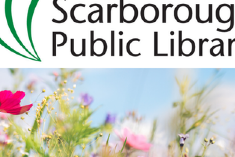 Driving Fitness, Health, & Aging: Considerations for Safe Mobility