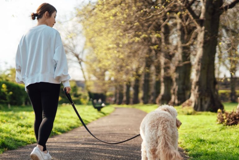 30-Day Strength and Stretch Workout for Walkers, Plus Nutrition Tips