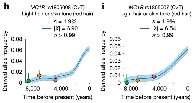 Gene variants
